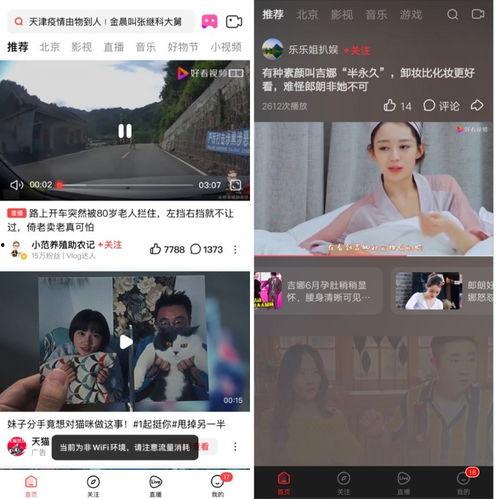 娱乐吃瓜酱广告视频大全