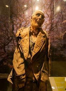 娱乐吃瓜酱毛骨悚然